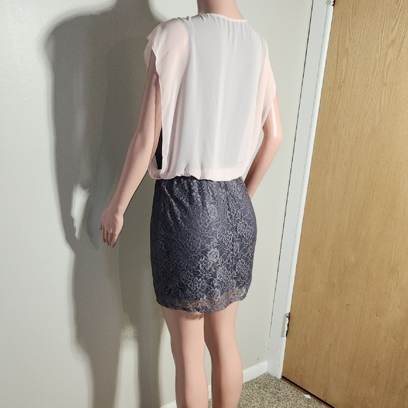 Speechless Blush and Gray Mini Dress - Picture 7 of 8